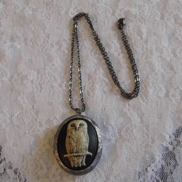 Owl Locket Stash Box Pill Photo Necklace Cameo - Picture 3 of 5